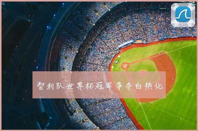 智利队世界杯冠军争夺白热化