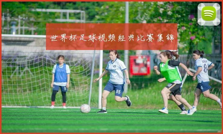世界杯足球视频经典比赛集锦