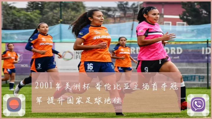 2001年美洲杯 哥伦比亚主场首夺冠军 提升国家足球地位