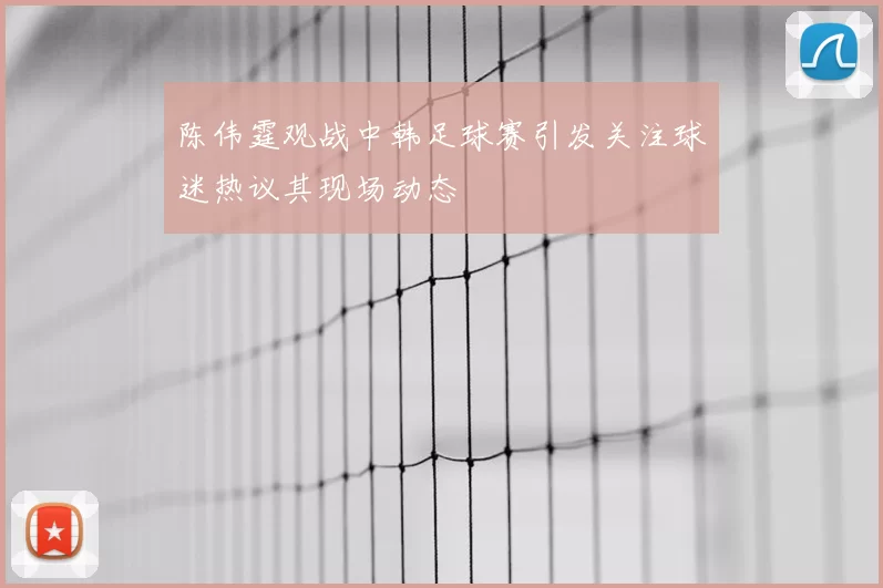 陈伟霆观战中韩足球赛引发关注球迷热议其现场动态