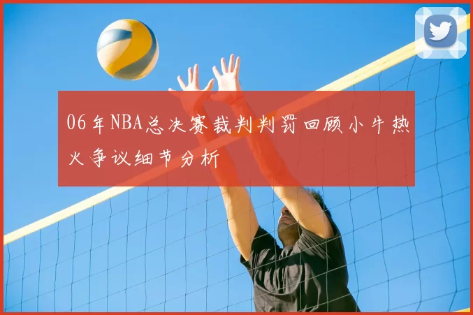 06年NBA总决赛裁判判罚回顾小牛热火争议细节分析
