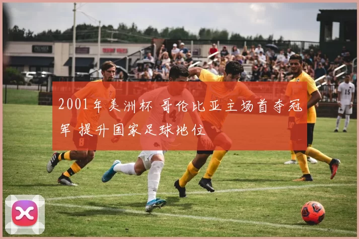 2001年美洲杯 哥伦比亚主场首夺冠军 提升国家足球地位
