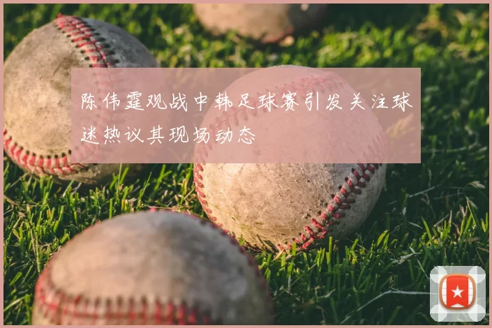 陈伟霆观战中韩足球赛引发关注球迷热议其现场动态