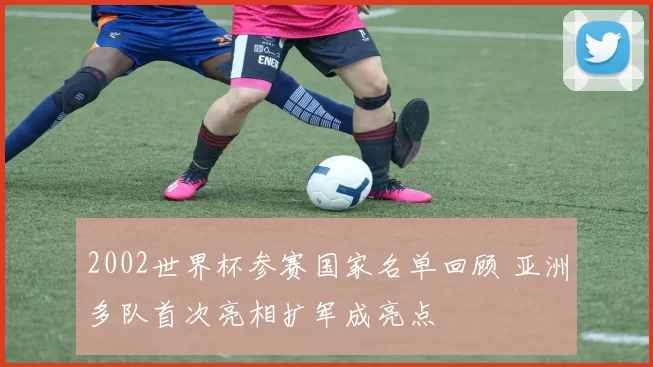 2002世界杯参赛国家名单回顾 亚洲多队首次亮相扩军成亮点